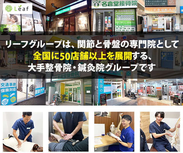 リーフグループは、関節と骨盤の専門院として全国に50店舗以上を展開する、大手整骨院・鍼灸院グループです