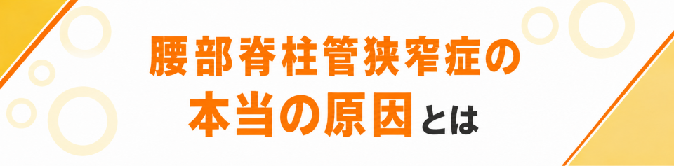 腰部脊柱管狭窄症の本当の原因とは