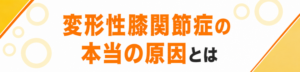 変形性膝関節症の本当の原因とは